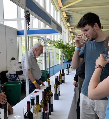 Cypriot Wine Festival & Business Expo