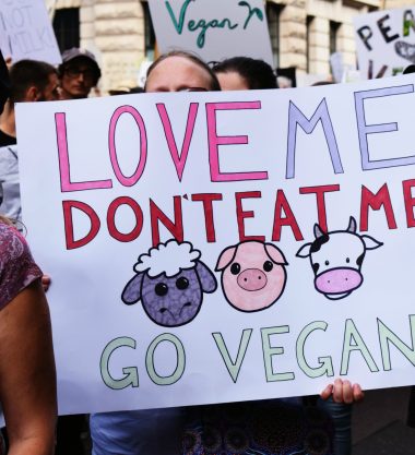 The Official Animal Rights March 2018